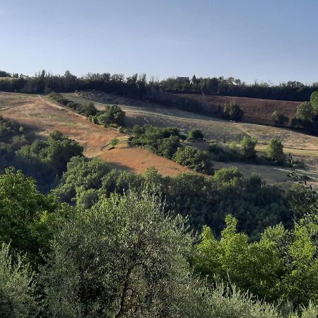 L'Alboreto Salvatico Homestay Serra San Quirico Exterior photo