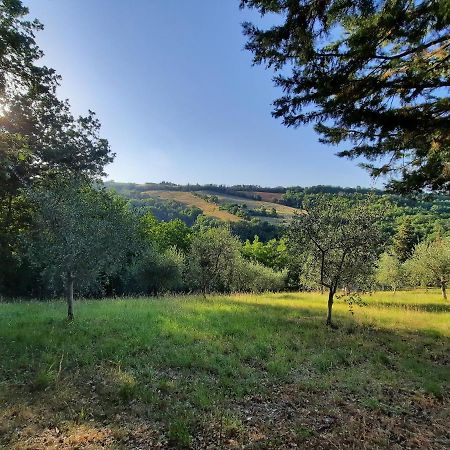 L'Alboreto Salvatico Homestay Serra San Quirico Exterior photo