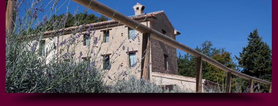 L'Alboreto Salvatico Homestay Serra San Quirico Exterior photo