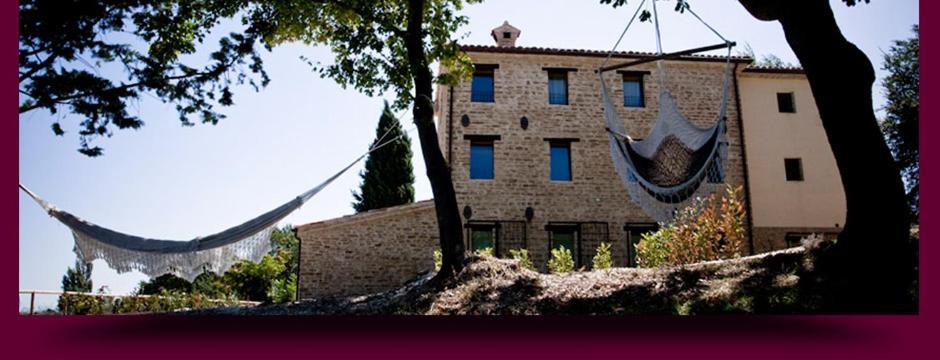 L'Alboreto Salvatico Homestay Serra San Quirico Exterior photo