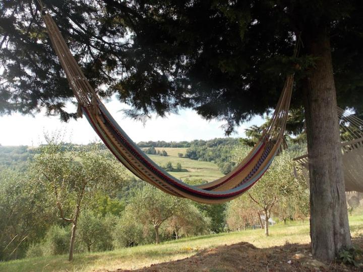 L'Alboreto Salvatico Homestay Serra San Quirico Exterior photo