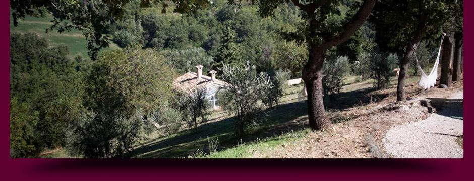 L'Alboreto Salvatico Homestay Serra San Quirico Exterior photo