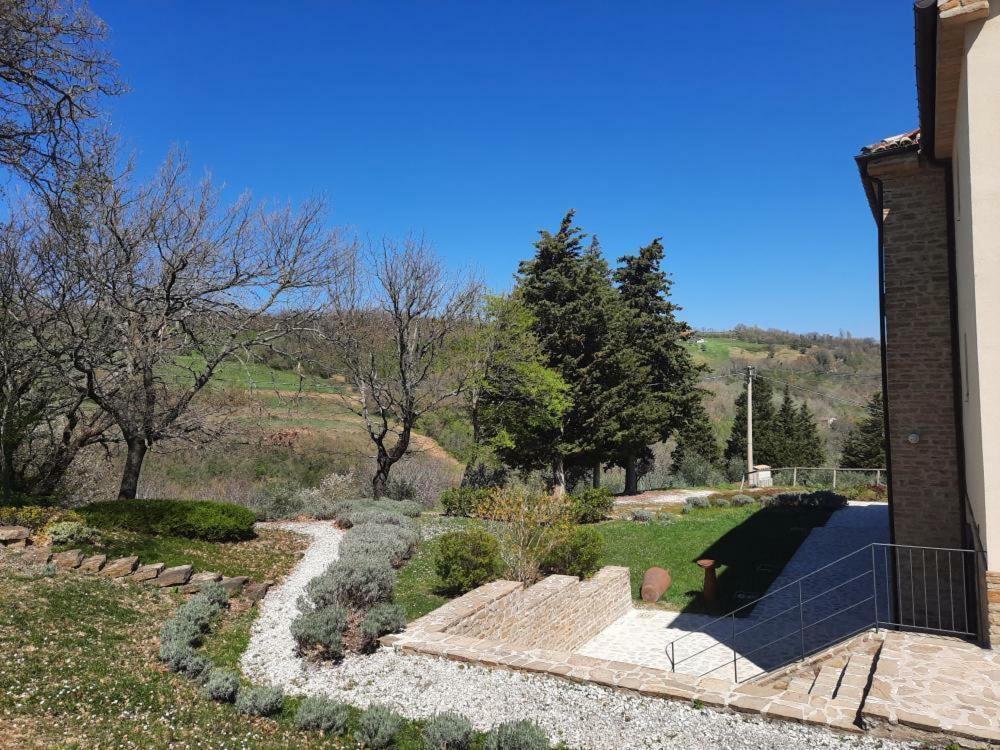 L'Alboreto Salvatico Homestay Serra San Quirico Exterior photo