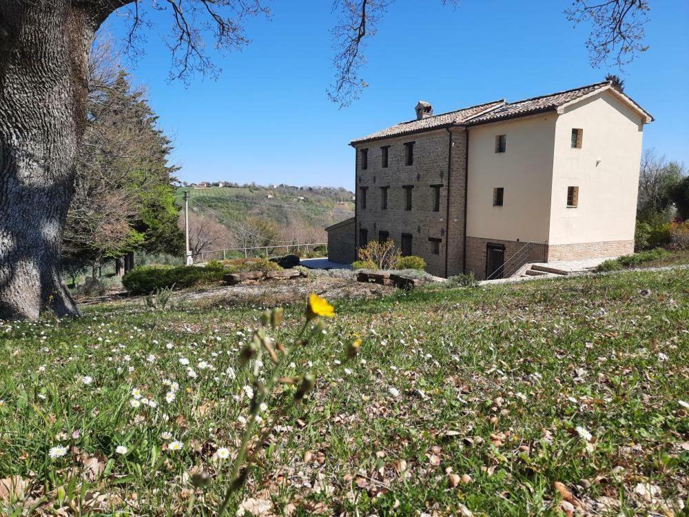 L'Alboreto Salvatico Homestay Serra San Quirico Exterior photo