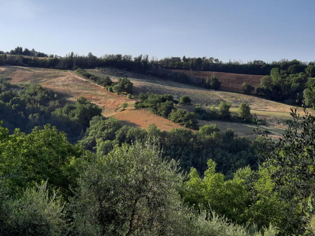 L'Alboreto Salvatico Homestay Serra San Quirico Exterior photo