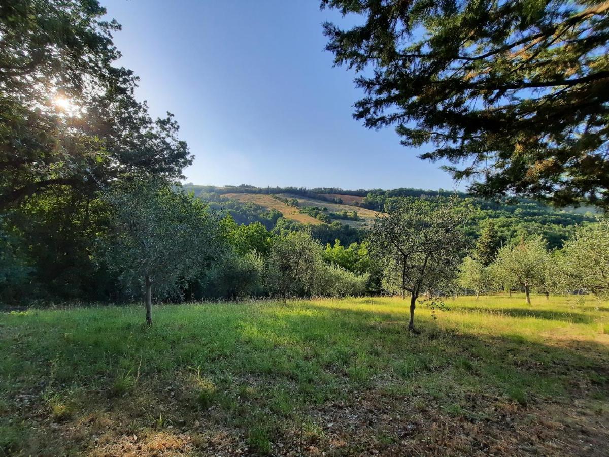 L'Alboreto Salvatico Homestay Serra San Quirico Exterior photo